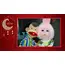 بوكس رمضان بوجى وطمطم أحلى فانوس رمضان بوكس رمضان بوجى وطمطم أحلى فانوس رمضان
