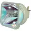 لمبة بروجيكتور NEC VE303 بالضمان | NEC VE303 Projector Lamp لمبة بروجيكتور NEC VE303 بالضمان | NEC VE303 Projector Lamp